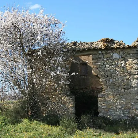 Du Chateau Ξενοδοχείο Margon (Herault)